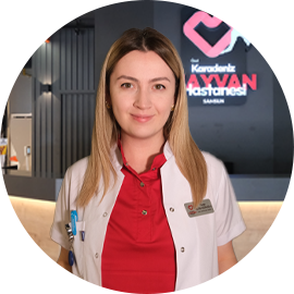 Yuşa ALTIN USTAOĞLU